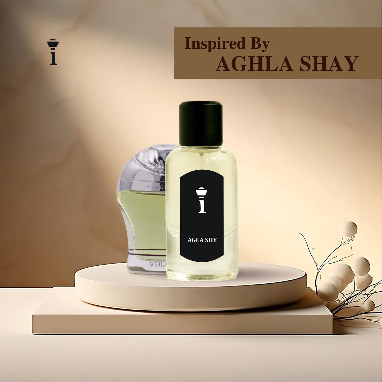 agla shy