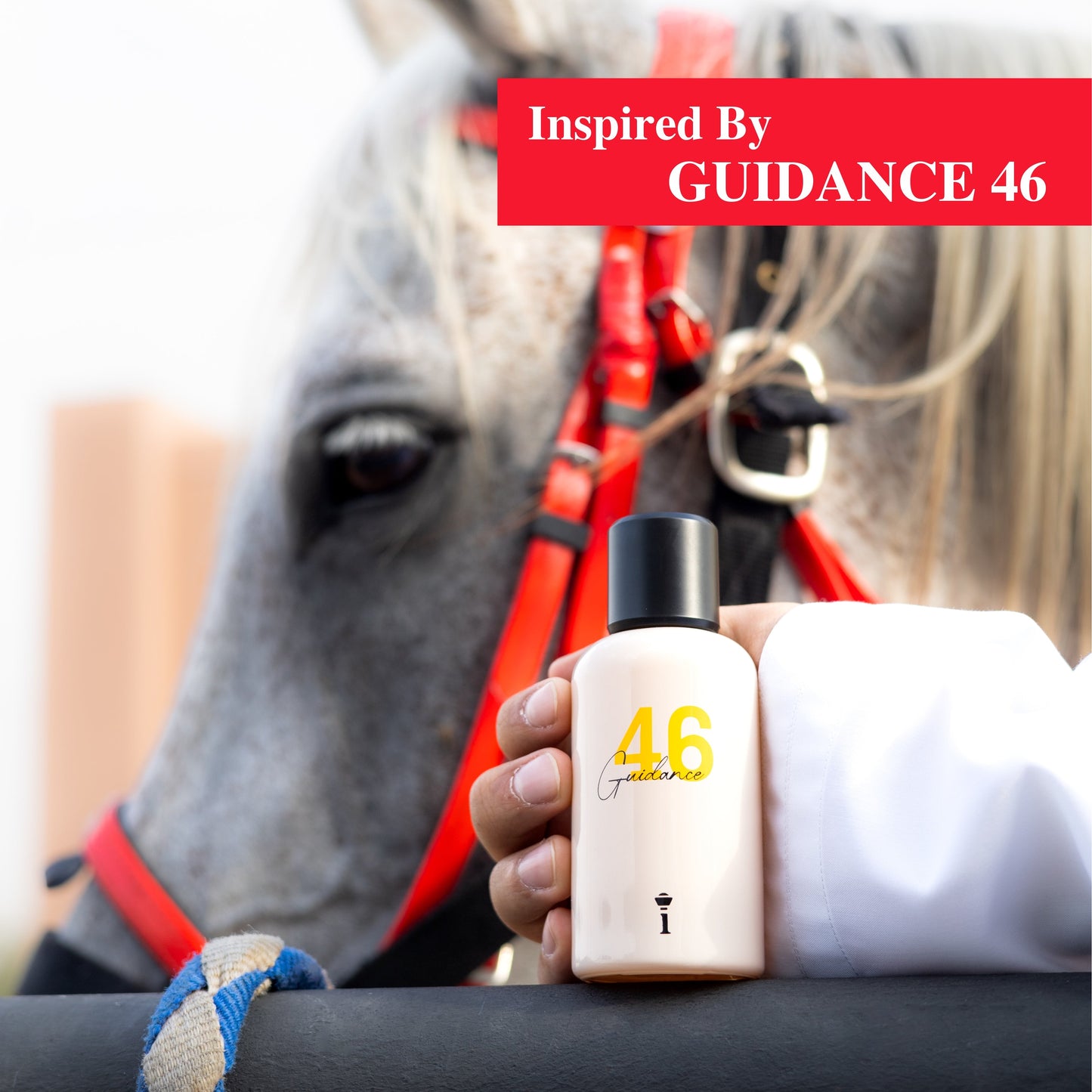 Guidanc 46