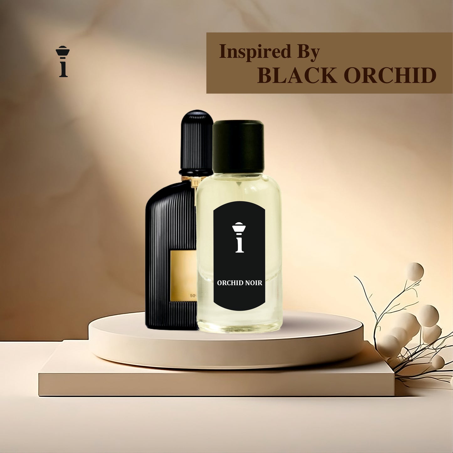 Orchid Noir