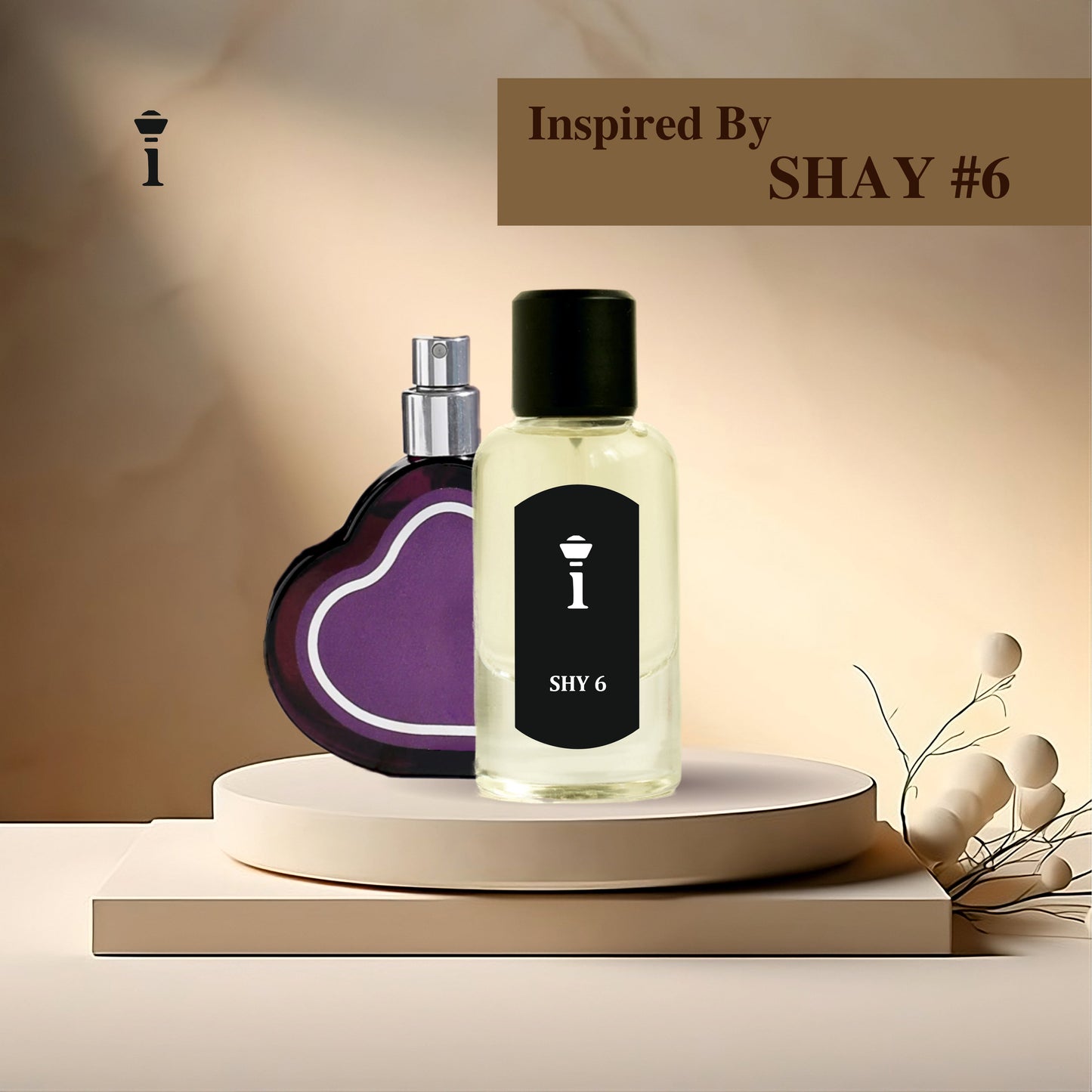 Shy 6